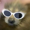 louki_1234