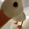 ku_bul_ka