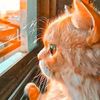 abrar.tr