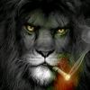 chrislion254
