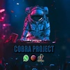 cobra.project