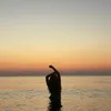 elena_channel_
