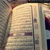user6185263040115