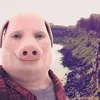jpofficaltt