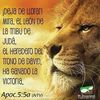 jorgeaguilar0130