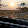 suariioo