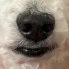 nanatts_