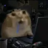 arcenpxydqk
