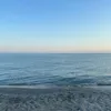_carlitadinamita_