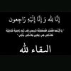 omdjaber3