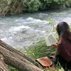 1iitvv