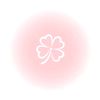 byy_903