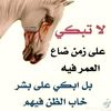 user4446769206133