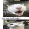 neucloishere