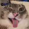 saavyfnrl