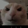 odin_caterlizer