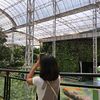 yuann_131