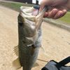 landontheangler2