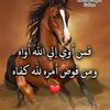 user355674217595