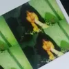 kimmbbyy06