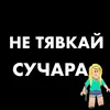 xays_saxarcov