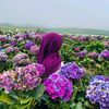 jamilatullailiyah8