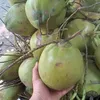 hat.dinh.dungthao