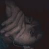 aungmyintmyatthu04