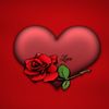 zulay.nio1