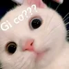 vietnams44