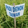 bpk.ibnu