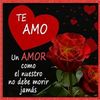 carmenchajon3