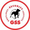 gss_security_ng