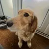 tmatsplt
