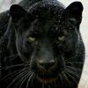 user1712218561442