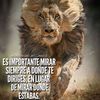 ameliagomez2934