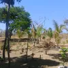 chacara_beija_flor_sd