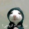 abdelmalekusma1