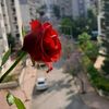 fahd22058