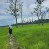 nhan.phi.99