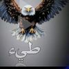 user8104554176183