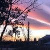 waikaiti.k