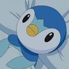 pipluppan