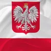 micha.witczak03