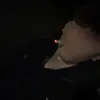 l1oficail