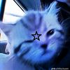 glxyy.syifaaq