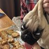 lepugse