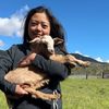 chaosantanafarm