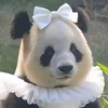 le.thu.bi