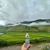 phuongl965